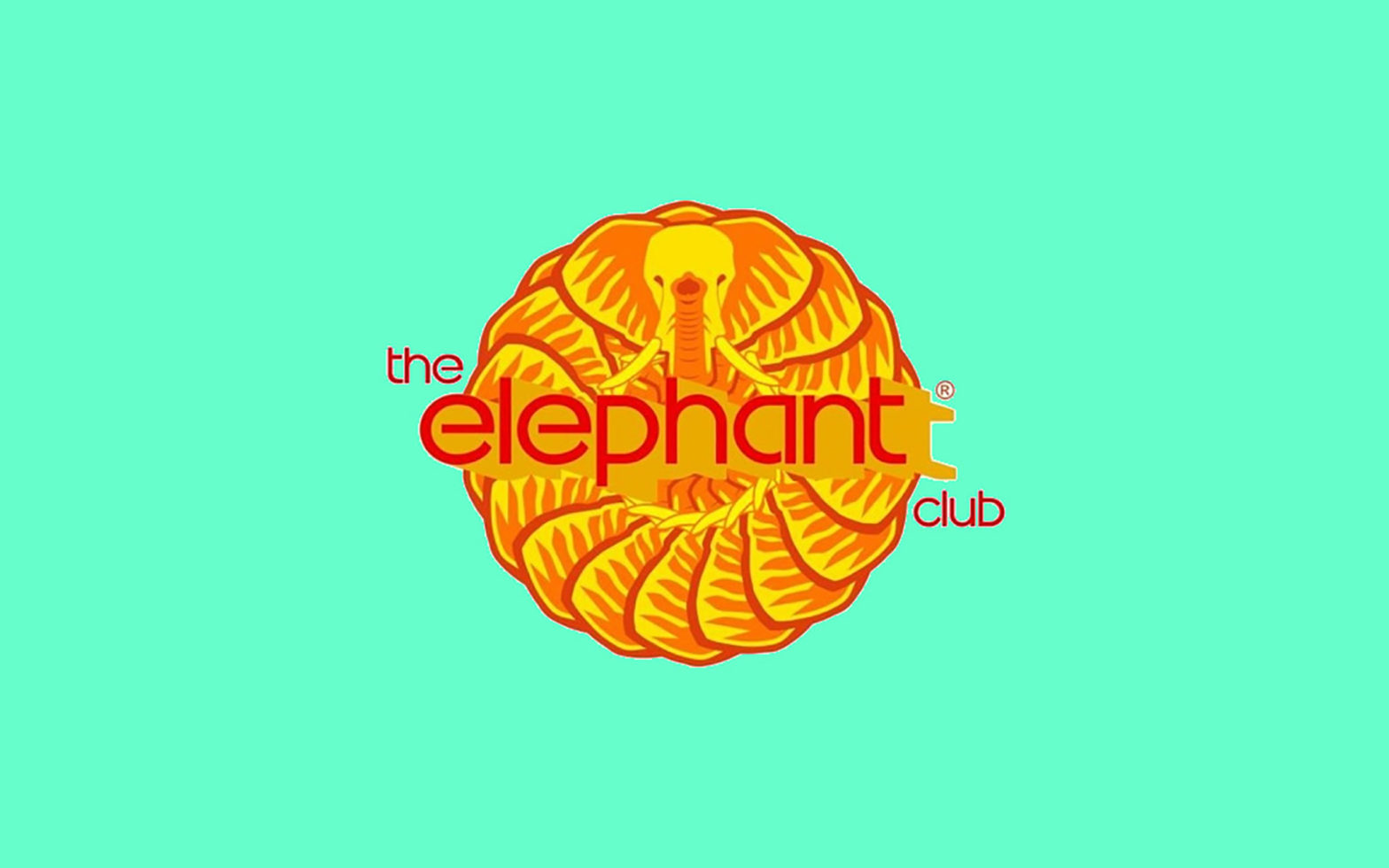 Elephant Club Logo