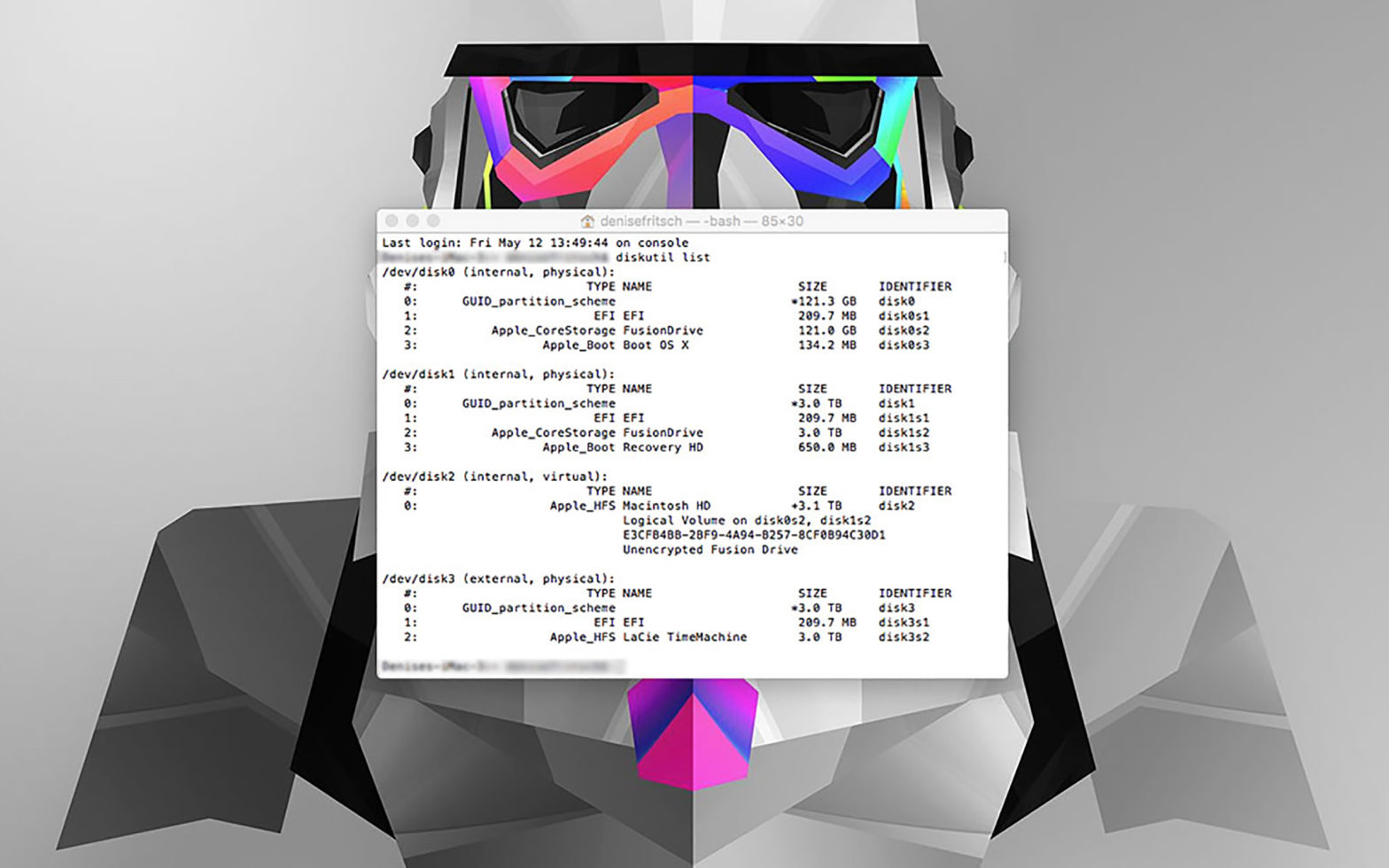 Terminal Befehl: diskutil list