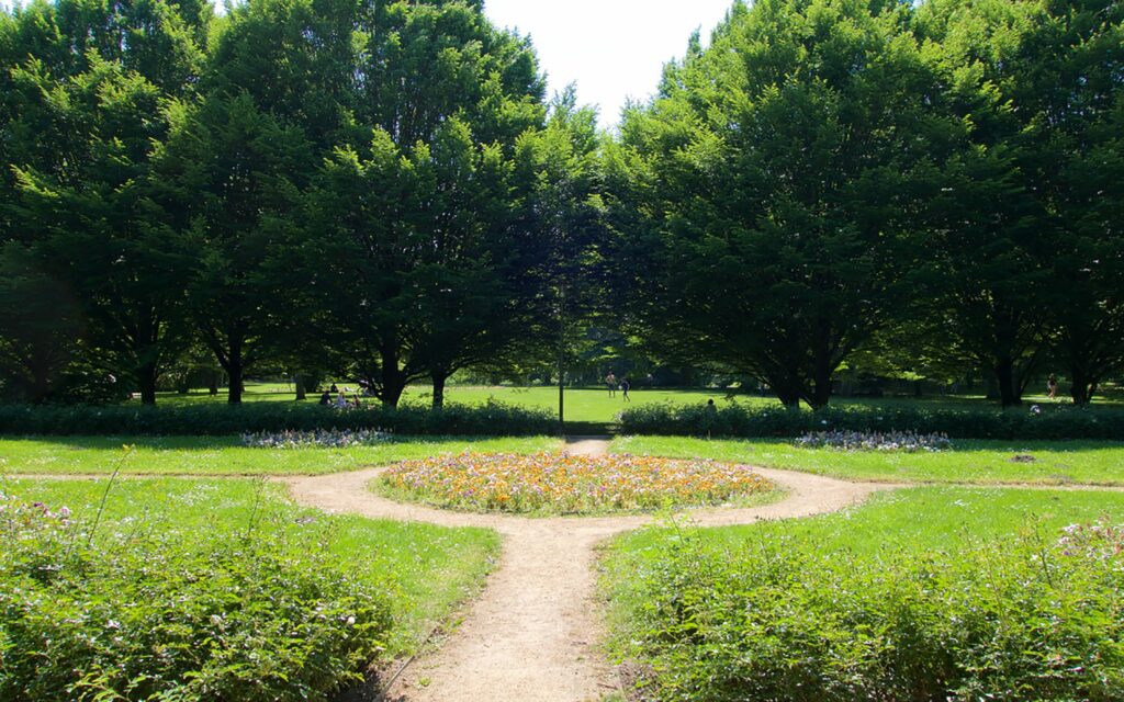 Der Aawiesenpark am Frederica Ufer.