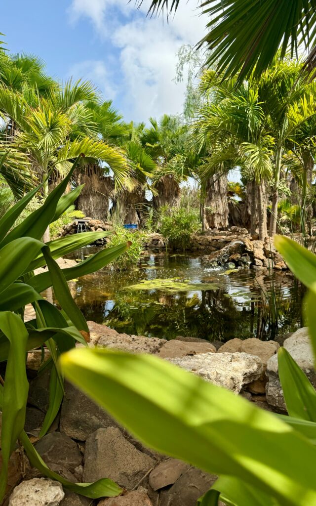 Botanischer Garten Viveiro.