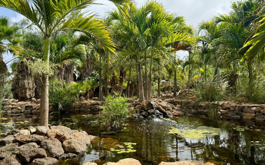 Botanischer Garten Viveiro.