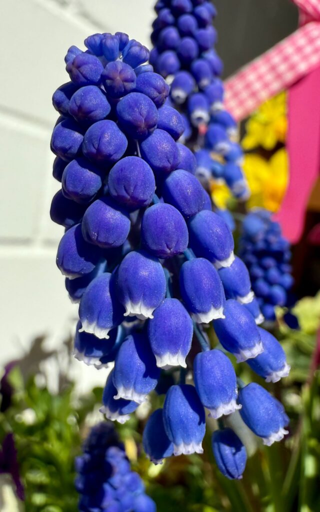 Testbild ISO 50, 24 mm, f/2,2, 1/3534