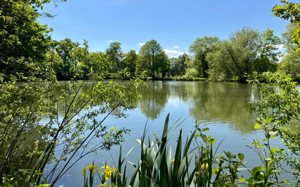 Testbild ISO 80, 24 mm, f/1,78, 1/4405