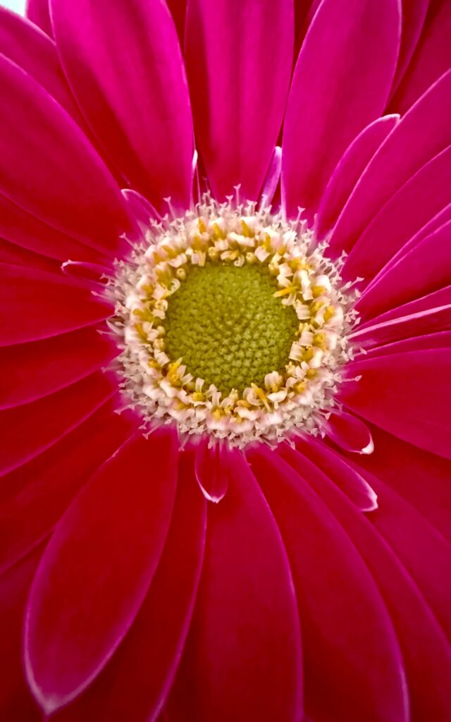 Testbild ISO 1250, 24 mm, f/2,2, 1/48