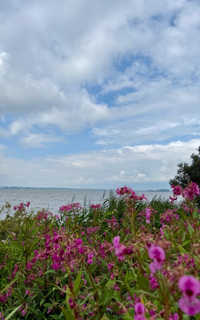 Testbild ISO 80, 24 mm, f/1,78, 1/6711