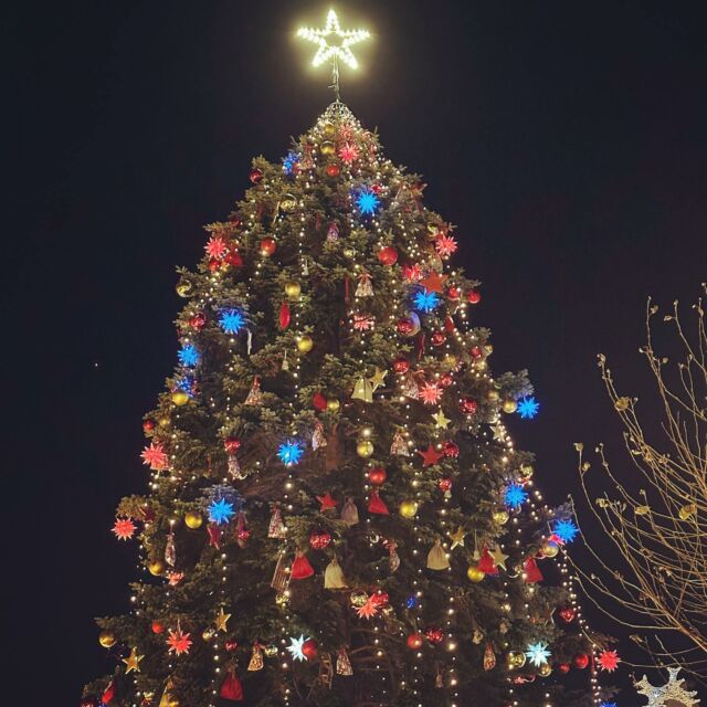 Rosé-Glühwein, Kirschglühwein und Apfelpunsch. Plus Sushi. 🍣👌🏼😌 #Herford #Berghaus #Le&Vi #Weihnachtslicht #Weihnachtsmarkt #ChristmasMarket #Heimat #OWL #Ostwestfalen #WeihnachtsmarktHerford