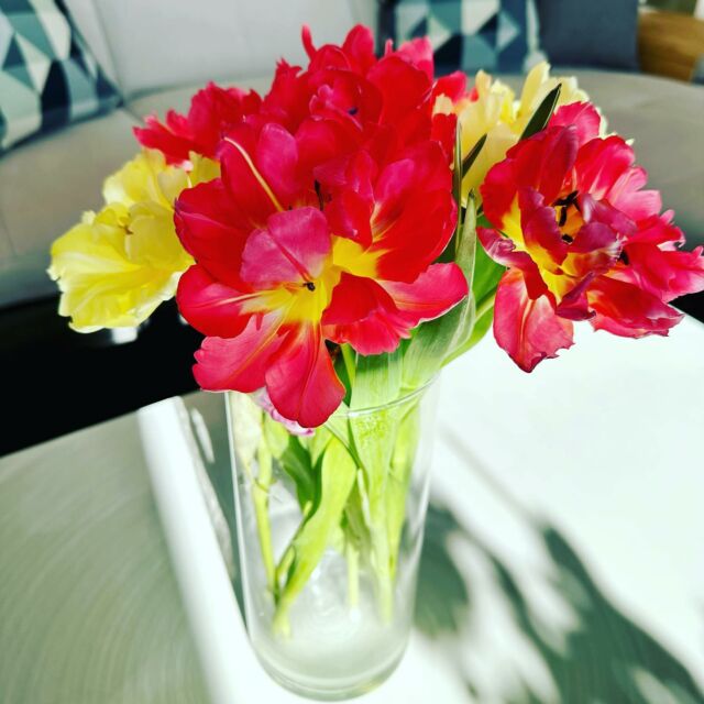 Flowers on a sunny day. 🌺🌼😍 #Tulpen #tulips #FrühlingKommBald #spring