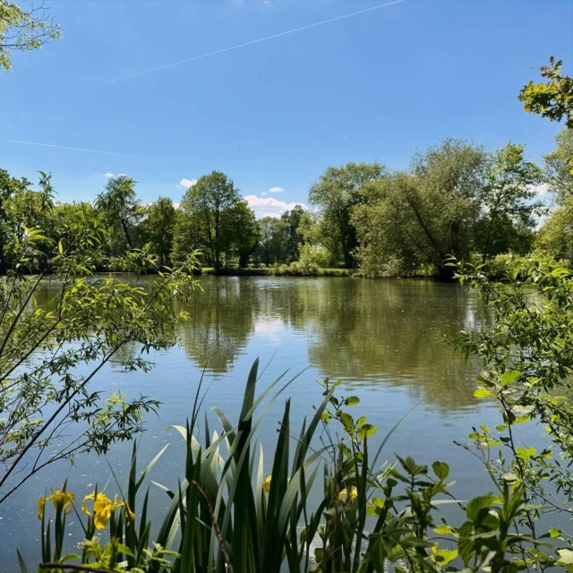 Sunny day @ Ludwigsee ⛵️☀️ #Ludwigsee #Gesmold #OsnabrückerLand #see #natur #lake #nature