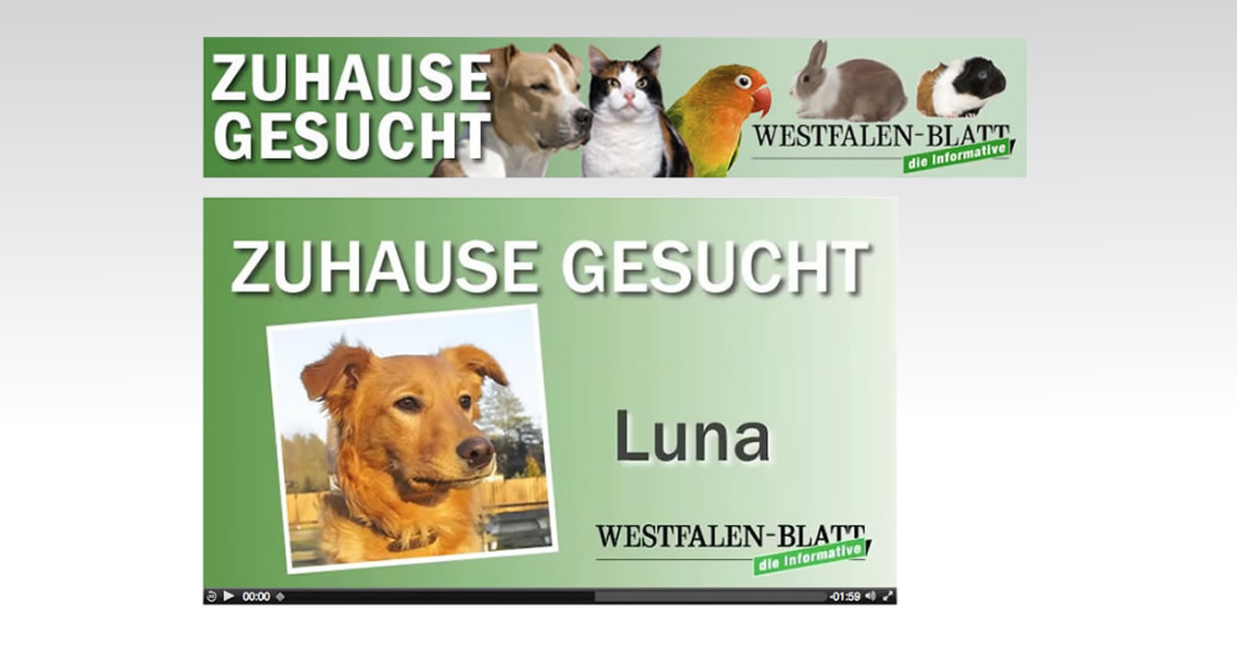 WESTFALEN-BLATT Zuhause gesucht